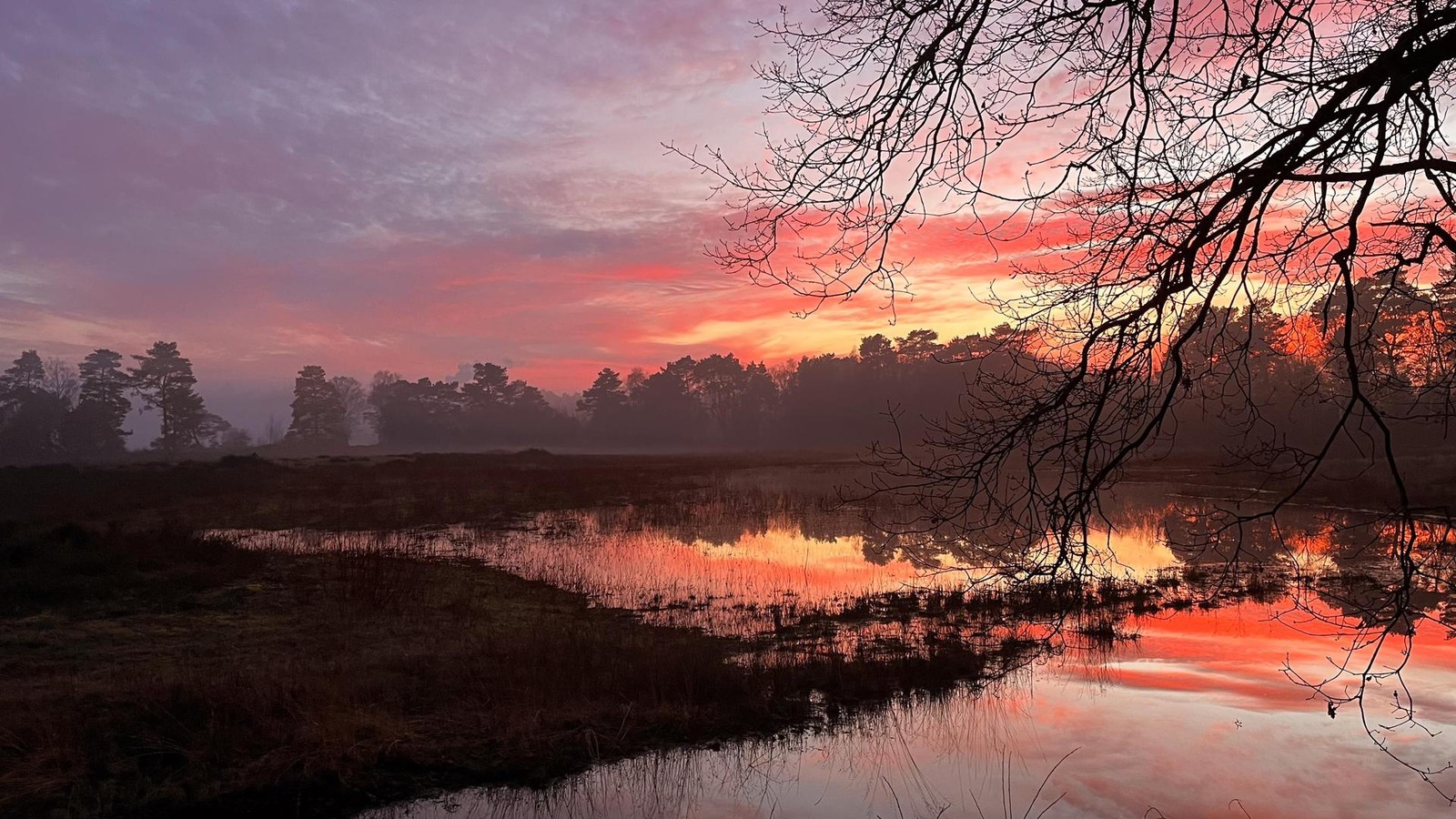 20-Lieblingspl-tze-in-Pinneberg-Das-sind-die-sch-nsten-Fotos