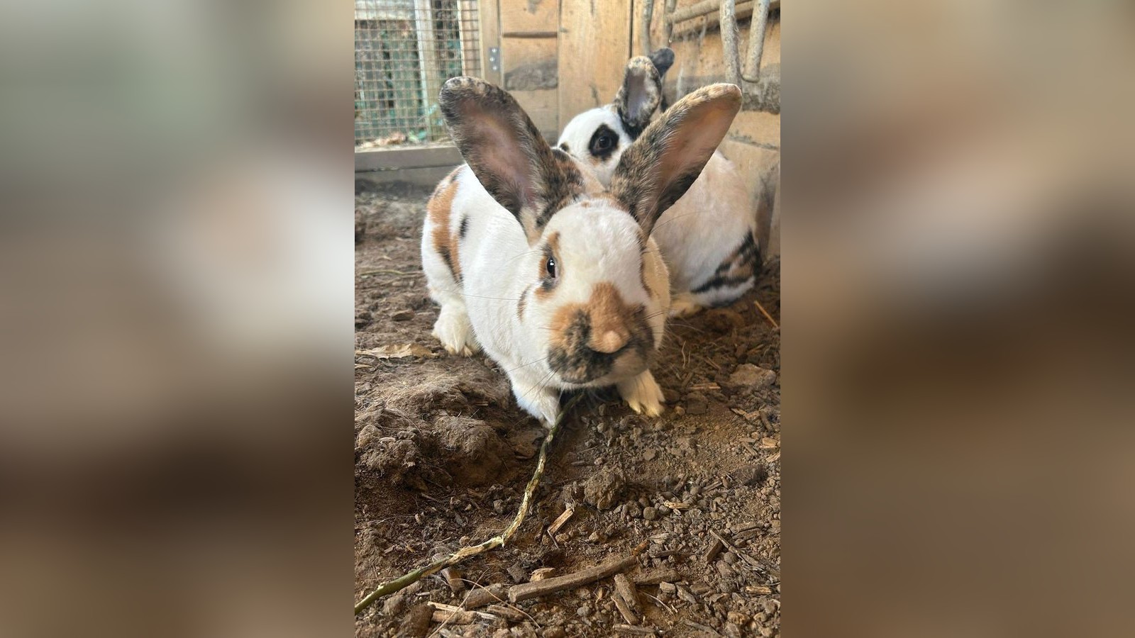 Eingebrochen-geklaut-get-tet-Kinder-und-Erzieher-sind-schockiert