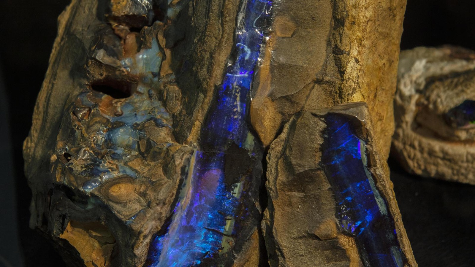 -Bares-f-r-Rares-Star-zeigt-auf-der-Mineralienmesse-seine-Sch-tze