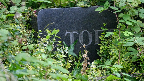 Niemand kümmert sich: Auf Essens Friedhöfen werden Hunderte Gräber eingeebnet