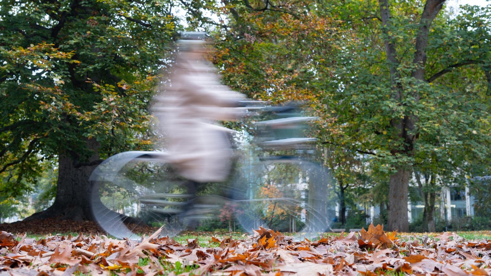 Versuchter-Raub-in-Wolfenb-ttel-Unbekannter-schubst-60-J-hrige-vom-Fahrrad