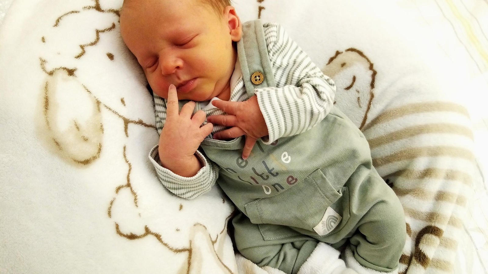 Babygalerie-f-r-den-Kyffh-userkreis-2025