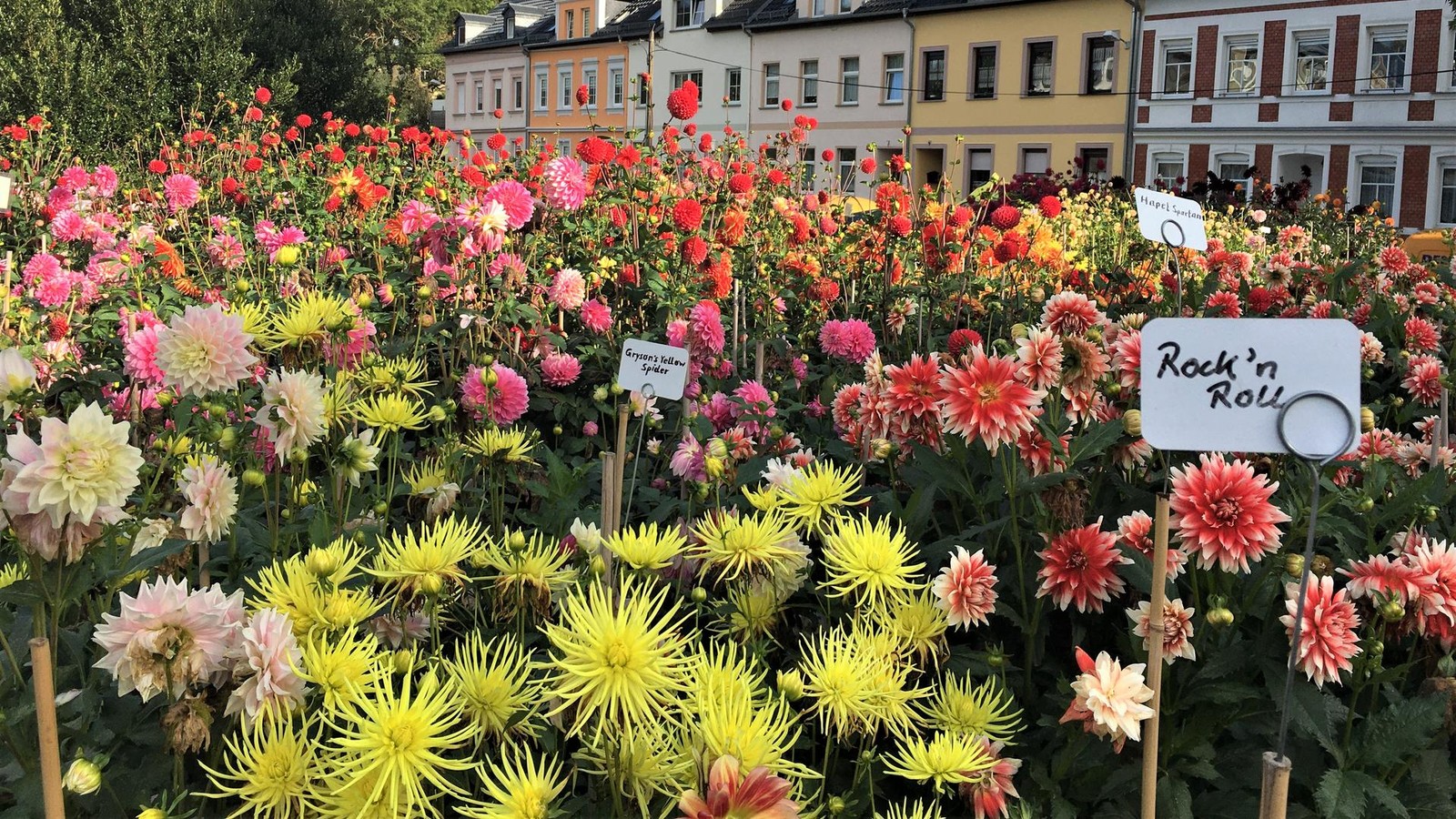 Meistgelesen-Das-sind-die-Top-Geschichten-der-Woche-im-Altenburger-Land