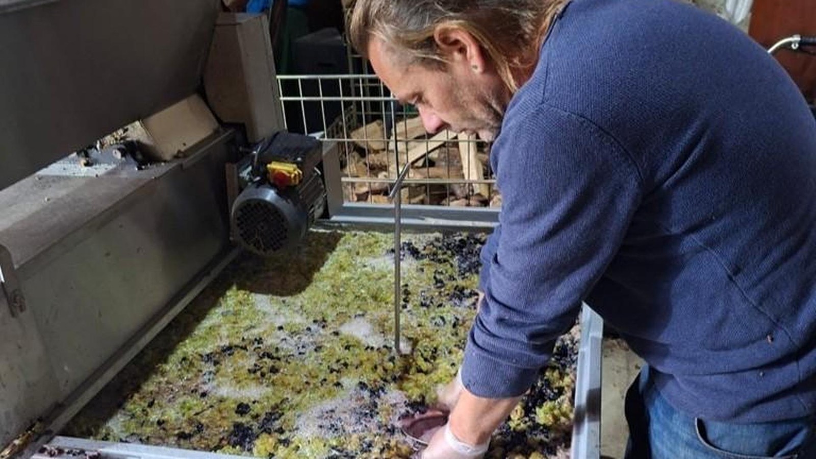 Abgef-llt-in-600-Flaschen-Verein-im-Kreis-S-mmerda-sucht-Namen-f-r-ersten-Rotwein