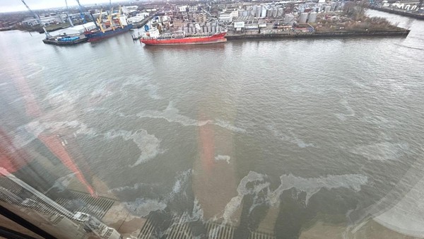 Ölfilm treibt vor der Elbphilharmonie im Hafen – Verursacher gesucht