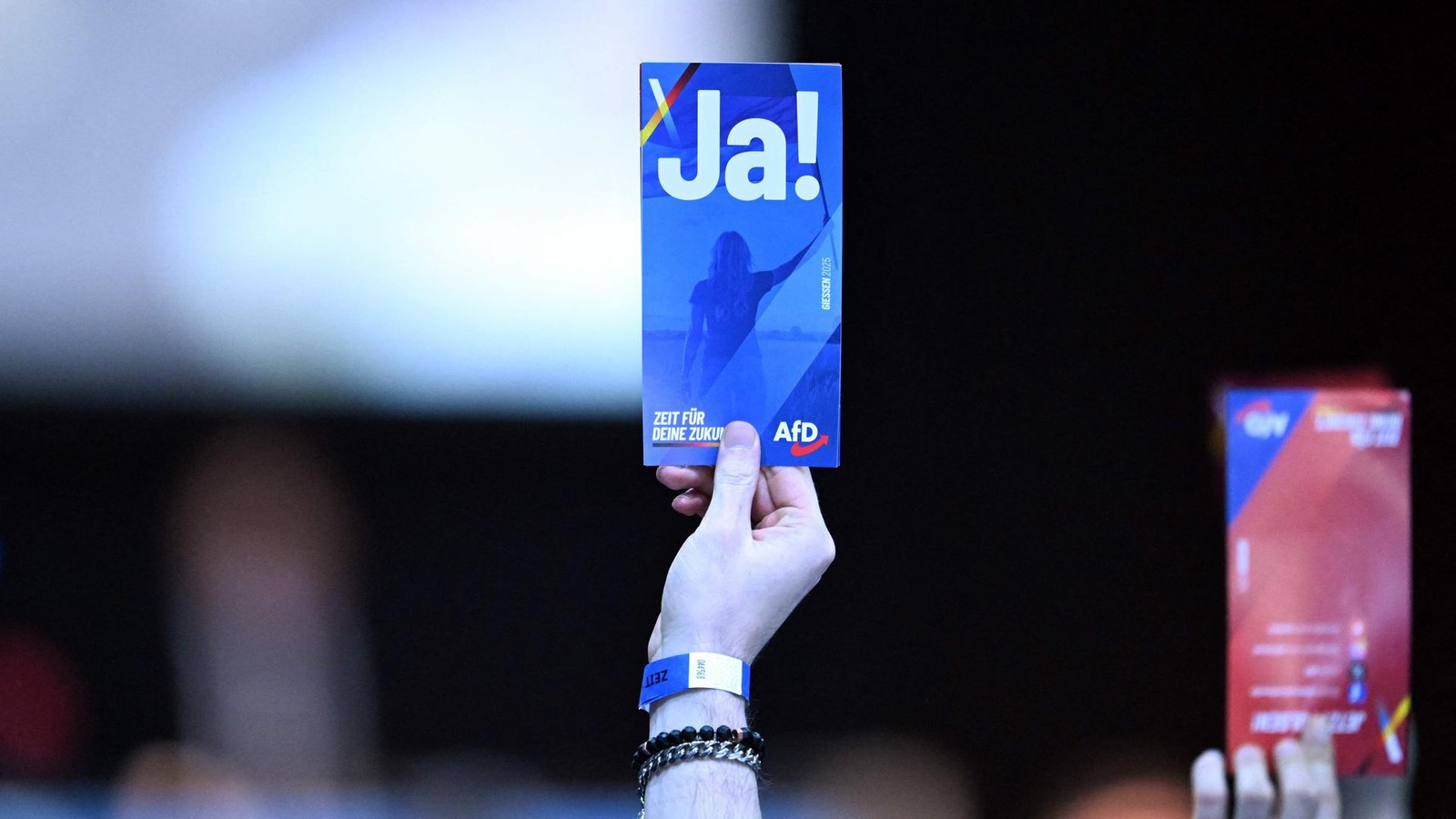 Gem-igt-oder-genauso-radikal-Das-ist-die-neue-AfD-Jugend