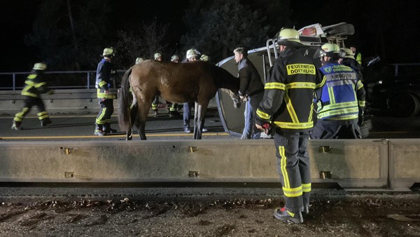 Unfall mit fünf Autos auf der A45 – Pferdeanhänger kippt auf die Seite
