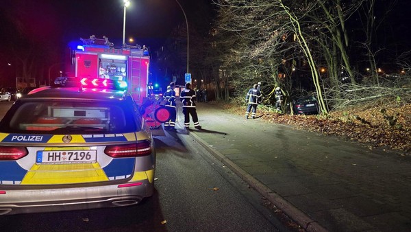 Nach Unfall: Mann versteckt sich vor Polizei im eigenen Kofferraum