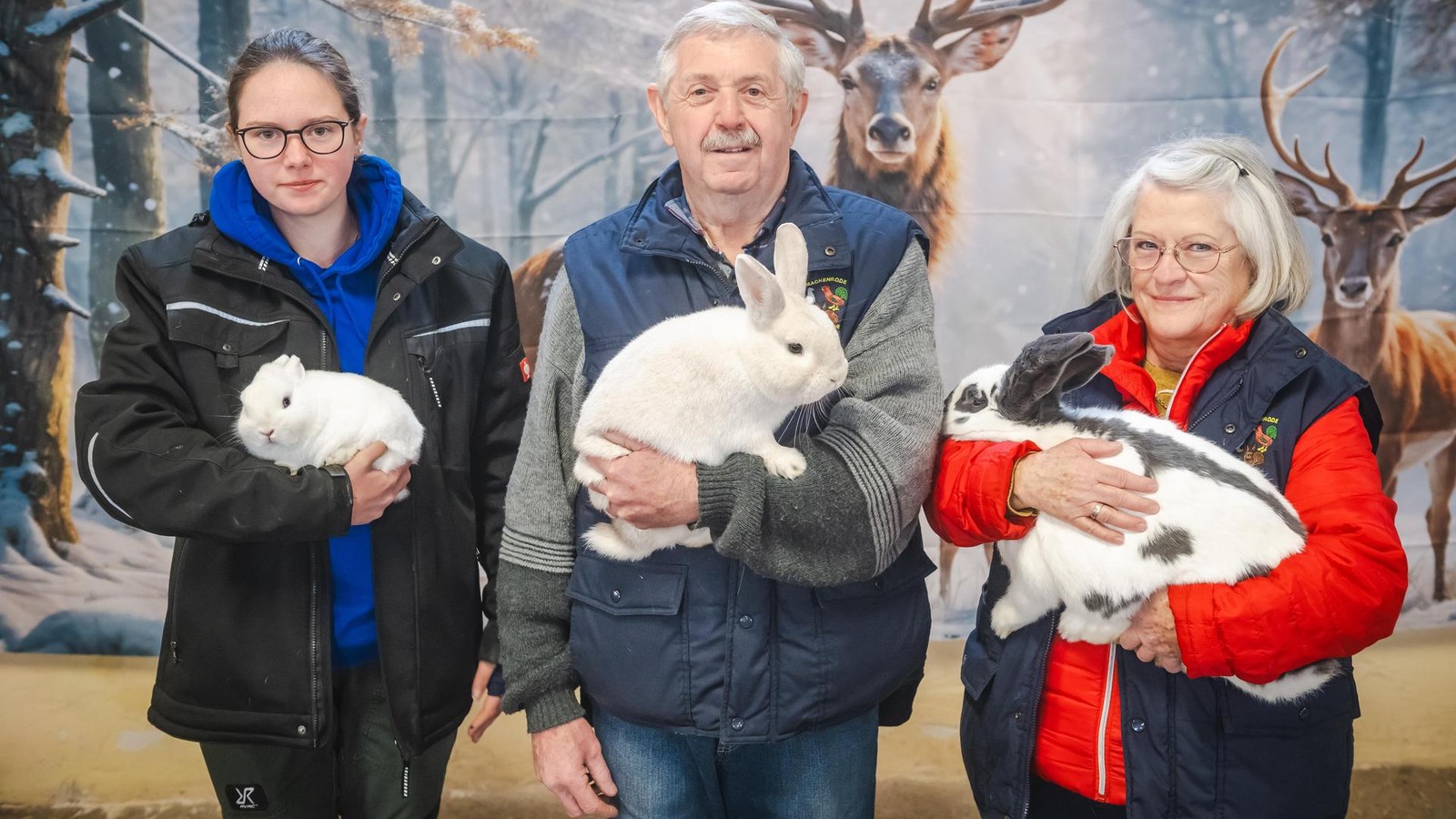 Fast-perfekte-Langohren-Kreis-Nordhausen-erlebt-eine-kleine-Sensation-bei-der-Verbandsschau-f-r-Rassekaninchen