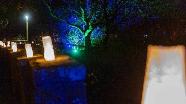 Leuchten und Glühen am Hammerteich: „Für einen Moment in einer anderen Welt“