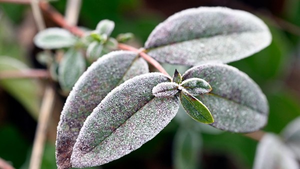 Frost und Glättegefahr - kalter Wochenstart in NRW