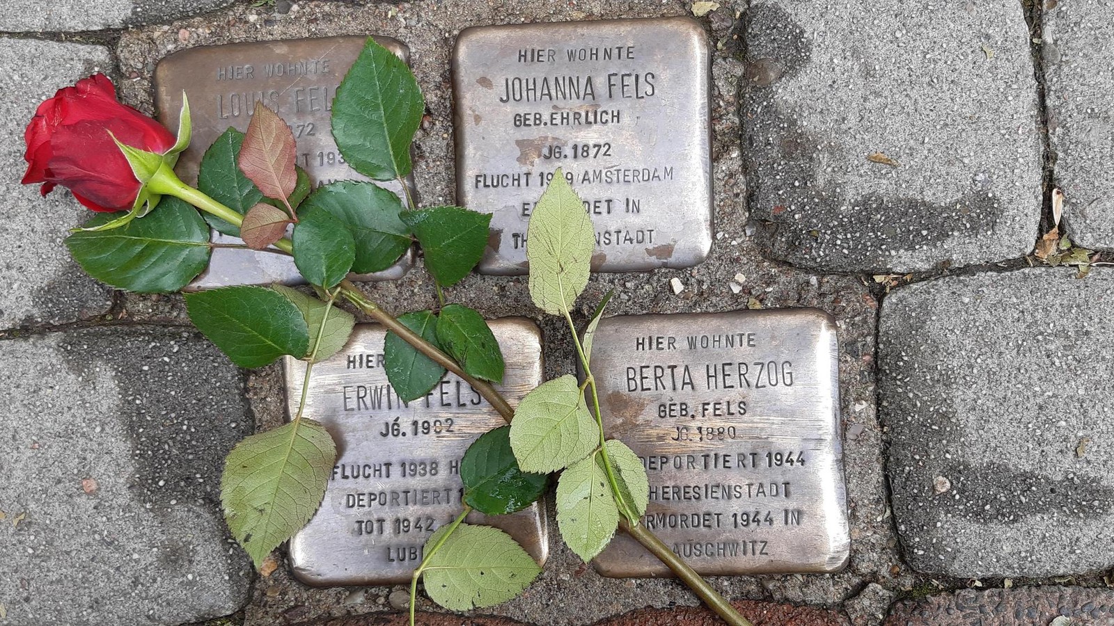 Gedenken-in-Peine-Wie-Stolpersteine-die-Geschichte-der-Holocaust-Opfer-erz-hlen
