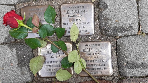 Gedenken in Peine: Wie Stolpersteine die Geschichte der Holocaust-Opfer erzählen