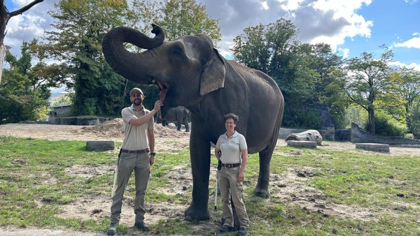 Hagenbeck: NDR nimmt beliebte Doku-Soap wieder auf – mit neuen Folgen