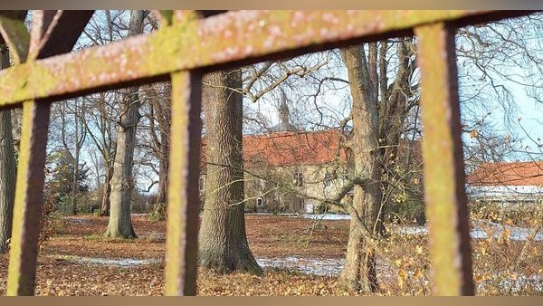 Spaziergang im Landkreis Wolfenbüttel: Historische Pfade und Natur erleben