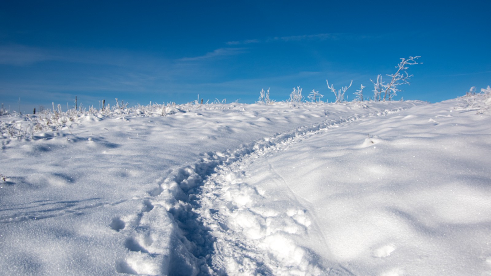 Seltene-Wetterwende-im-letzten-Monatsdrittel-so-lief-der-November-in-Saalfeld-Rudolstadt