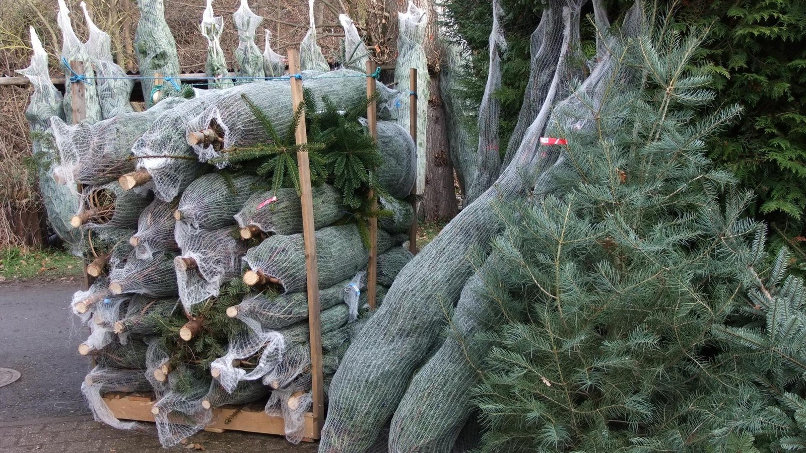 Saale-Holzland-So-l-uft-die-Abfallentsorgung-ber-die-Feiertage