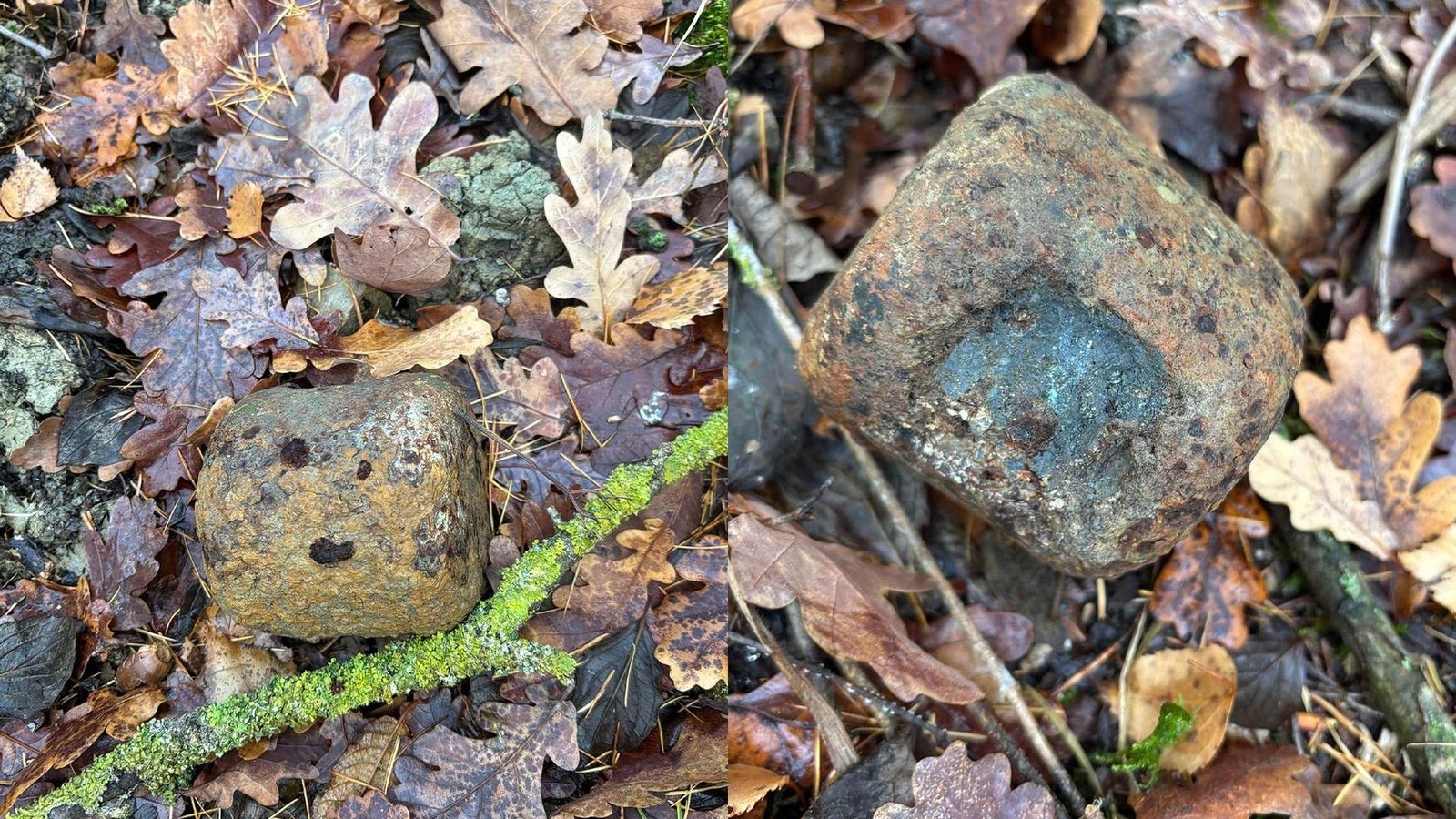 Spazierg-ngerin-findet-Bomben-in-einem-Wald-am-Ettersberg