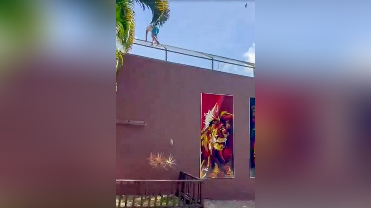 Screenshot Junger Mann klettert in Löwengehege