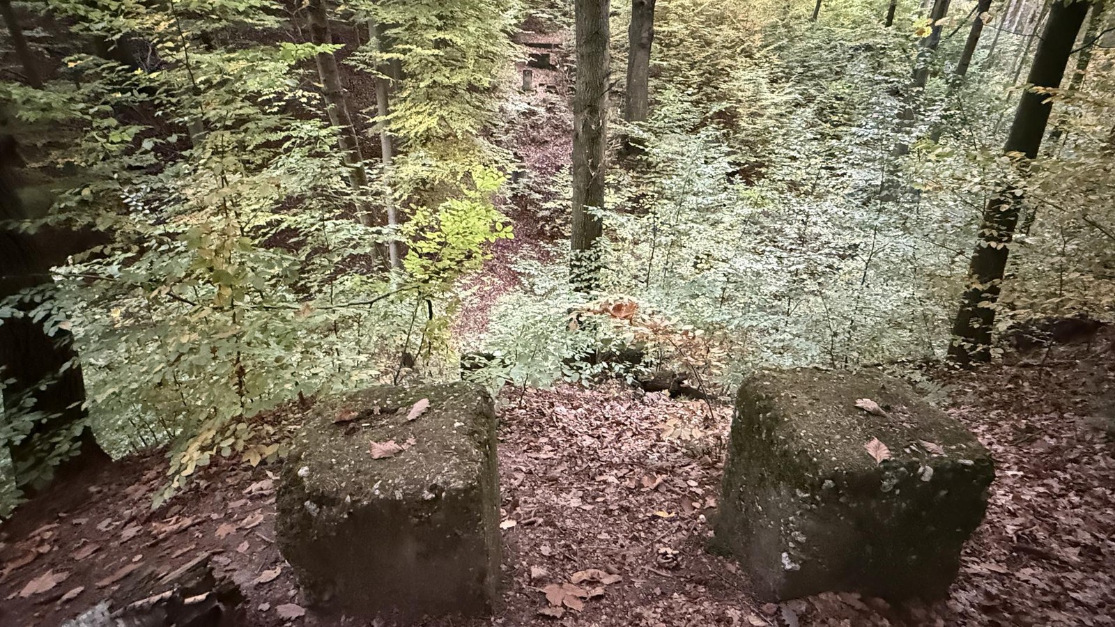 -Langsam-nicht-mehr-aufzuhalten-M-hsamer-Weg-f-r-neue-Br-cke-in-Gera