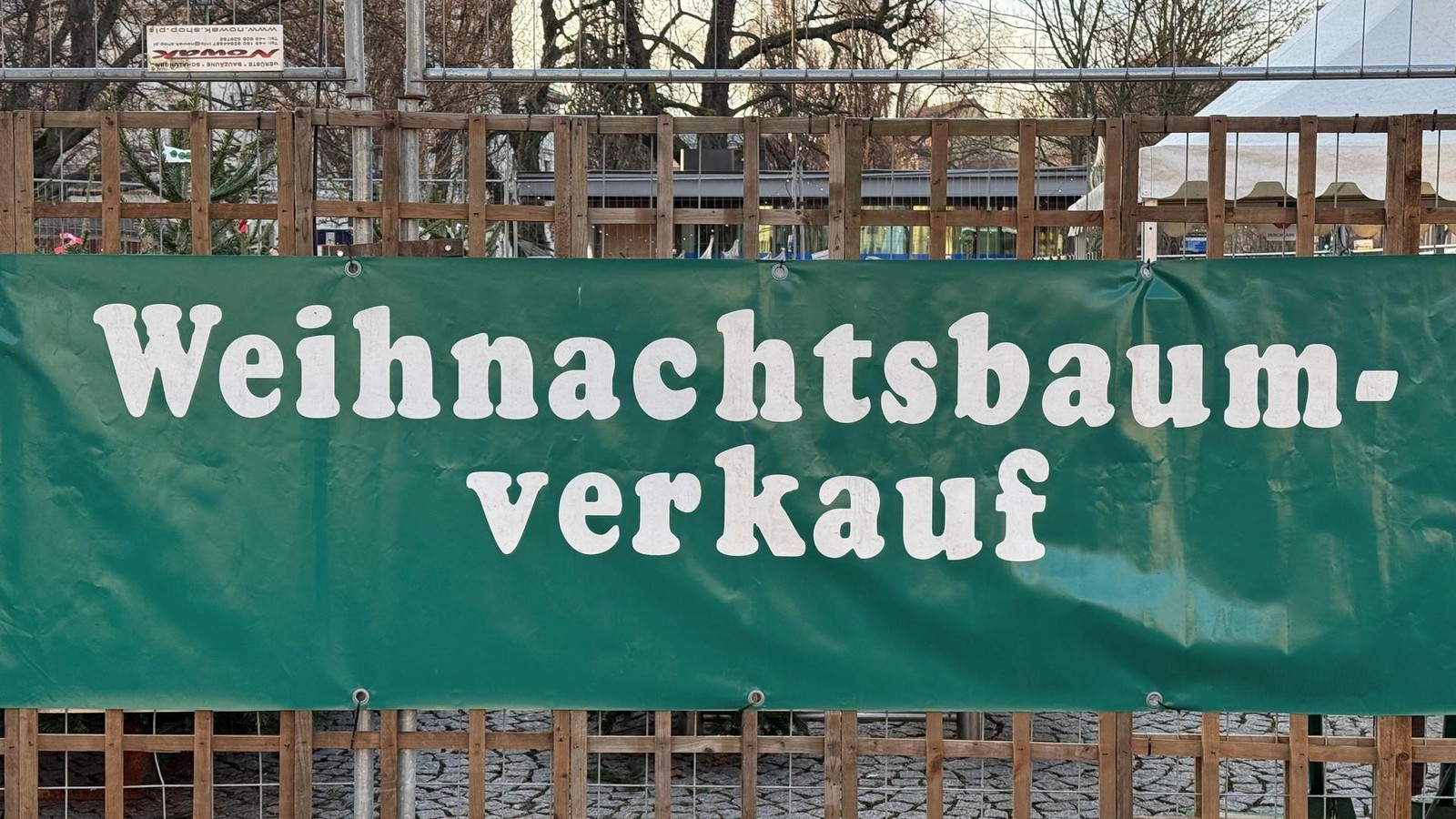 Schlagen-erlaubt-Wer-hat-die-sch-nsten-Weihnachtsb-ume-im-Wartburgkreis-