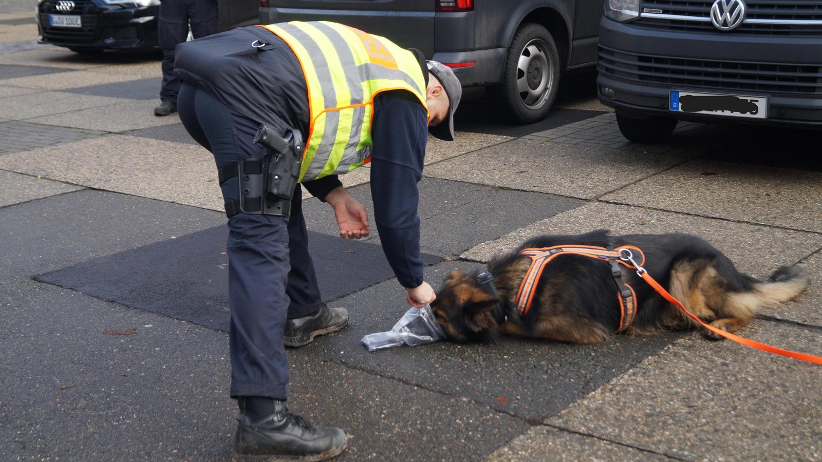 Hund-erschn-ffelt-in-Gera-F-hrte-von-Vermissten