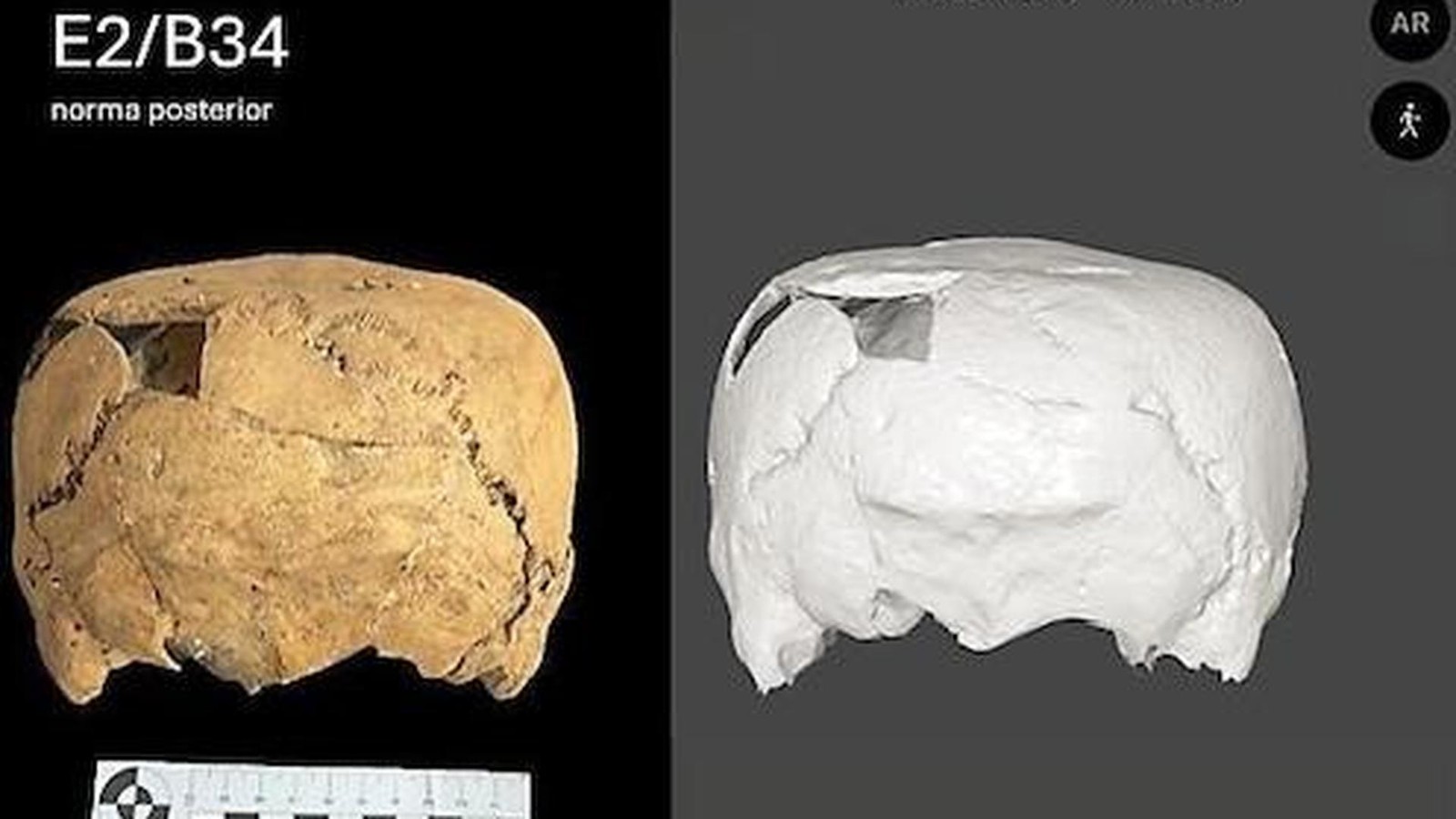 W-rfelf-rmiger-Sch-del-in-Mexiko-gibt-Arch-ologen-R-tsel-auf