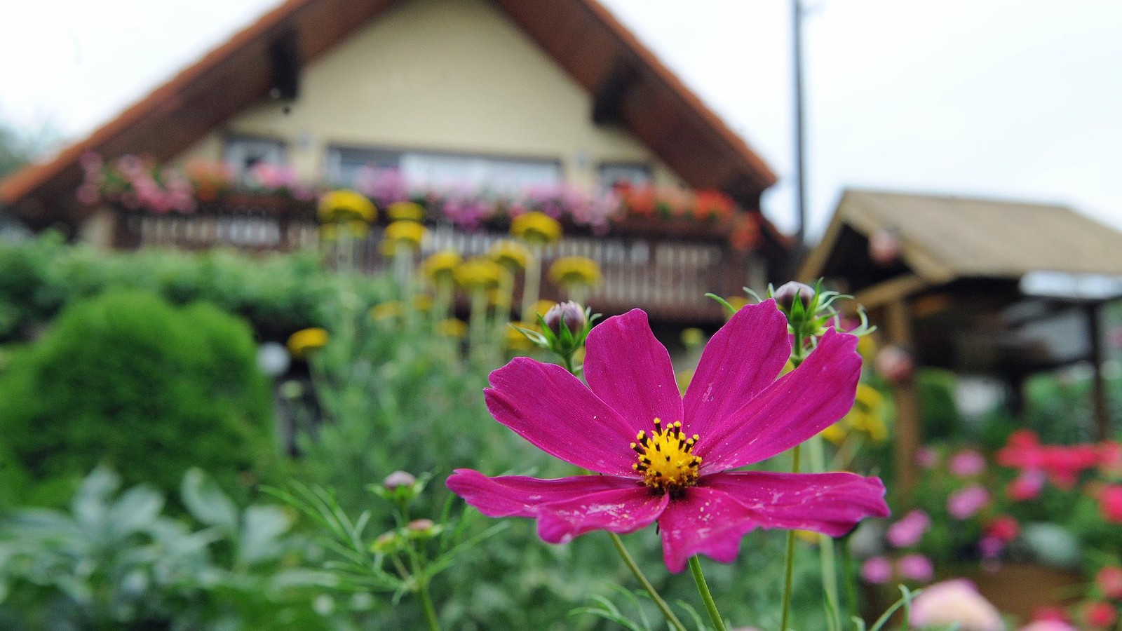 An-der-Lache-Erfurter-Wasserbetrieb-und-Siedler-wollen-Rechnungs-Schock-abwenden