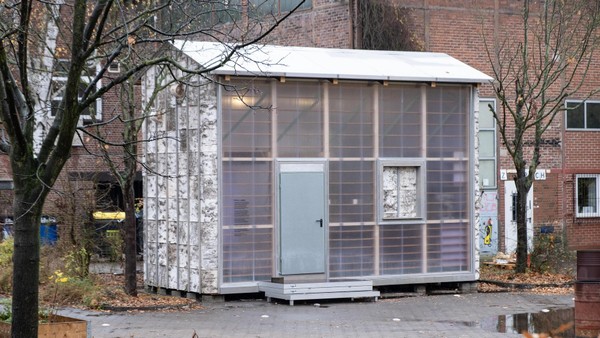 Verrückt: Welcher Baustoff der Zukunft jetzt in Wilhelmsburg wächst