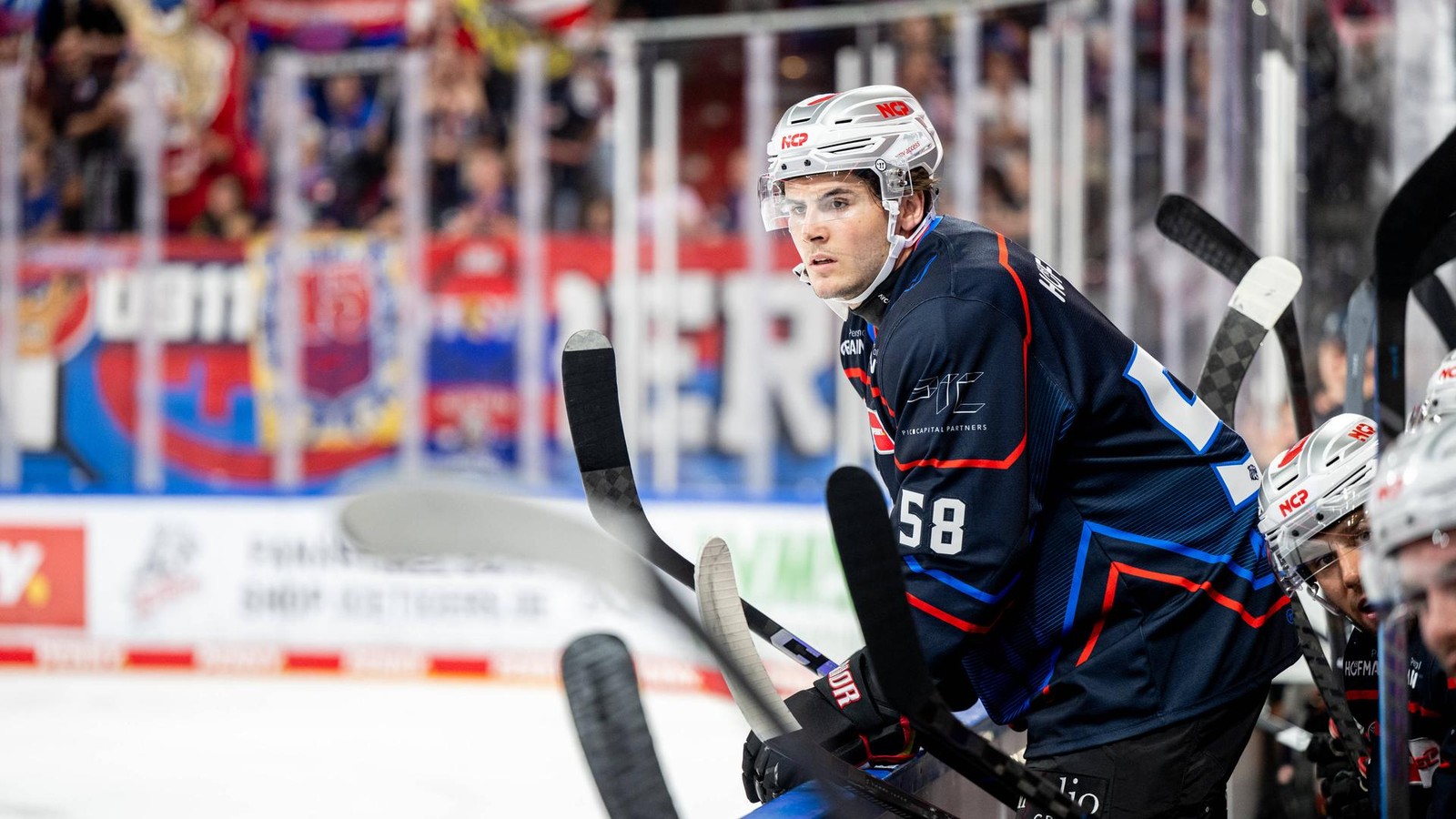 F-chse-Duisburg-holen-Spieler-von-den-N-rnberg-Ice-Tigers