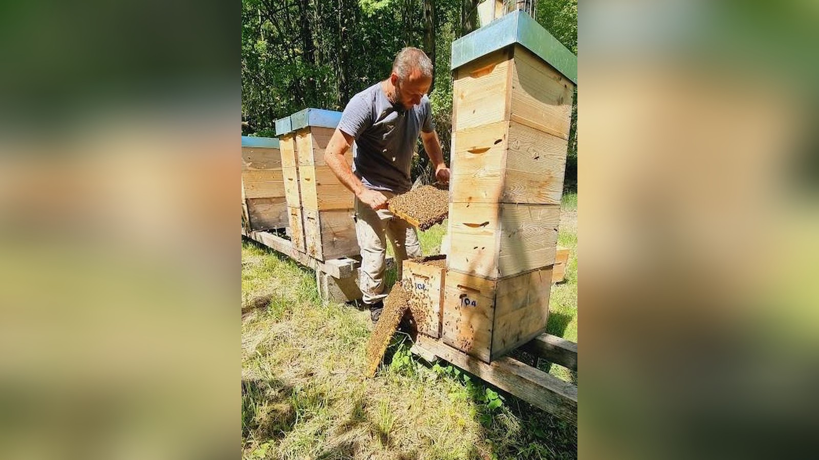 Honig-aus-dem-Kreis-Greiz-f-r-den-Bundeskanzler-Das-wusste-ich-gar-nicht-