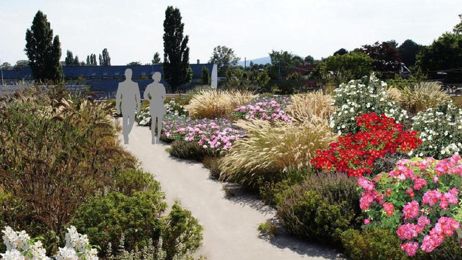 Einzigartig-So-faszinierend-wird-Deutschlands-gr-tes-Rosenbeet