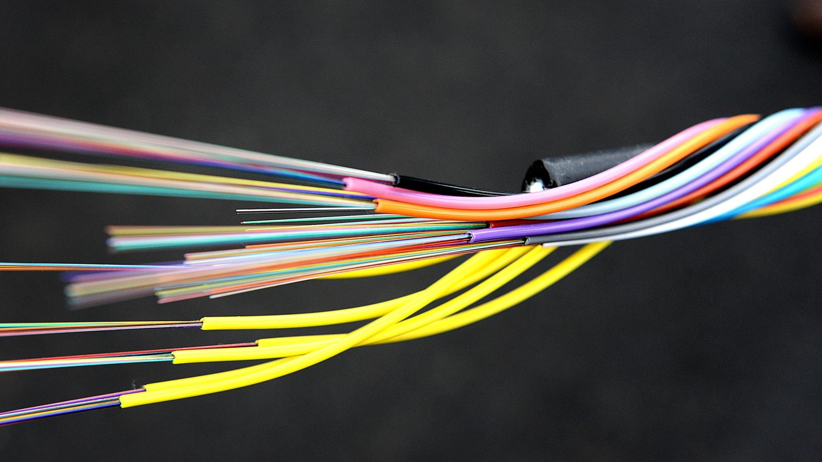 Zeuge-schl-gt-Alarm-Polizei-schnappt-Kupferdiebin-37-in-Duisburg