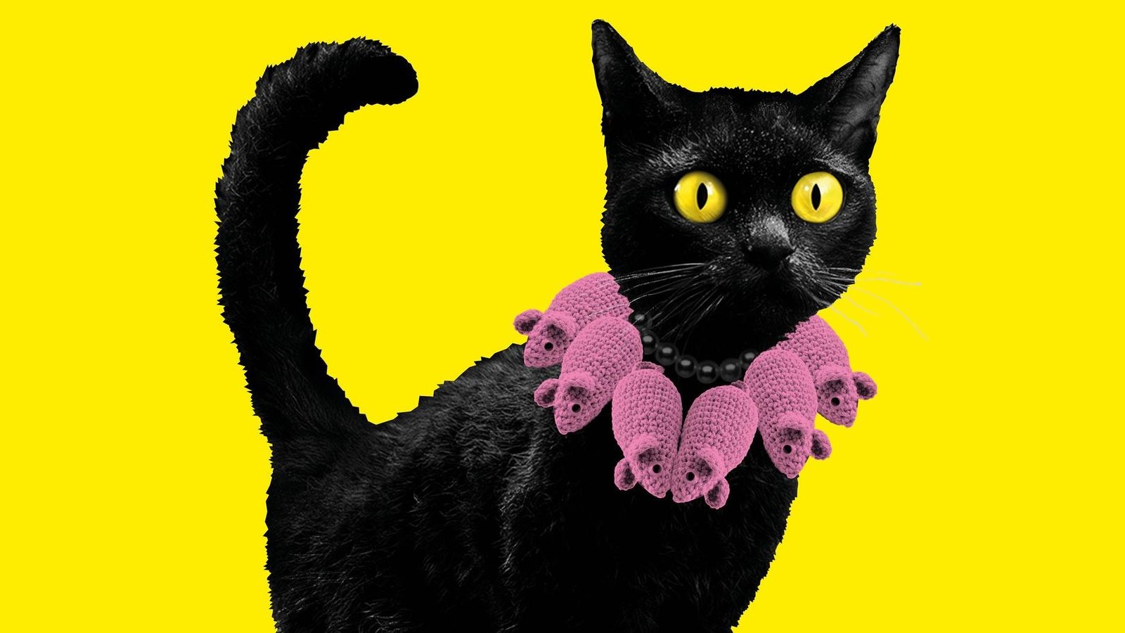 Mehr-als-Hello-Kitty-gro-artige-Schau-ber-Welt-und-Wirkung-von-Katzen