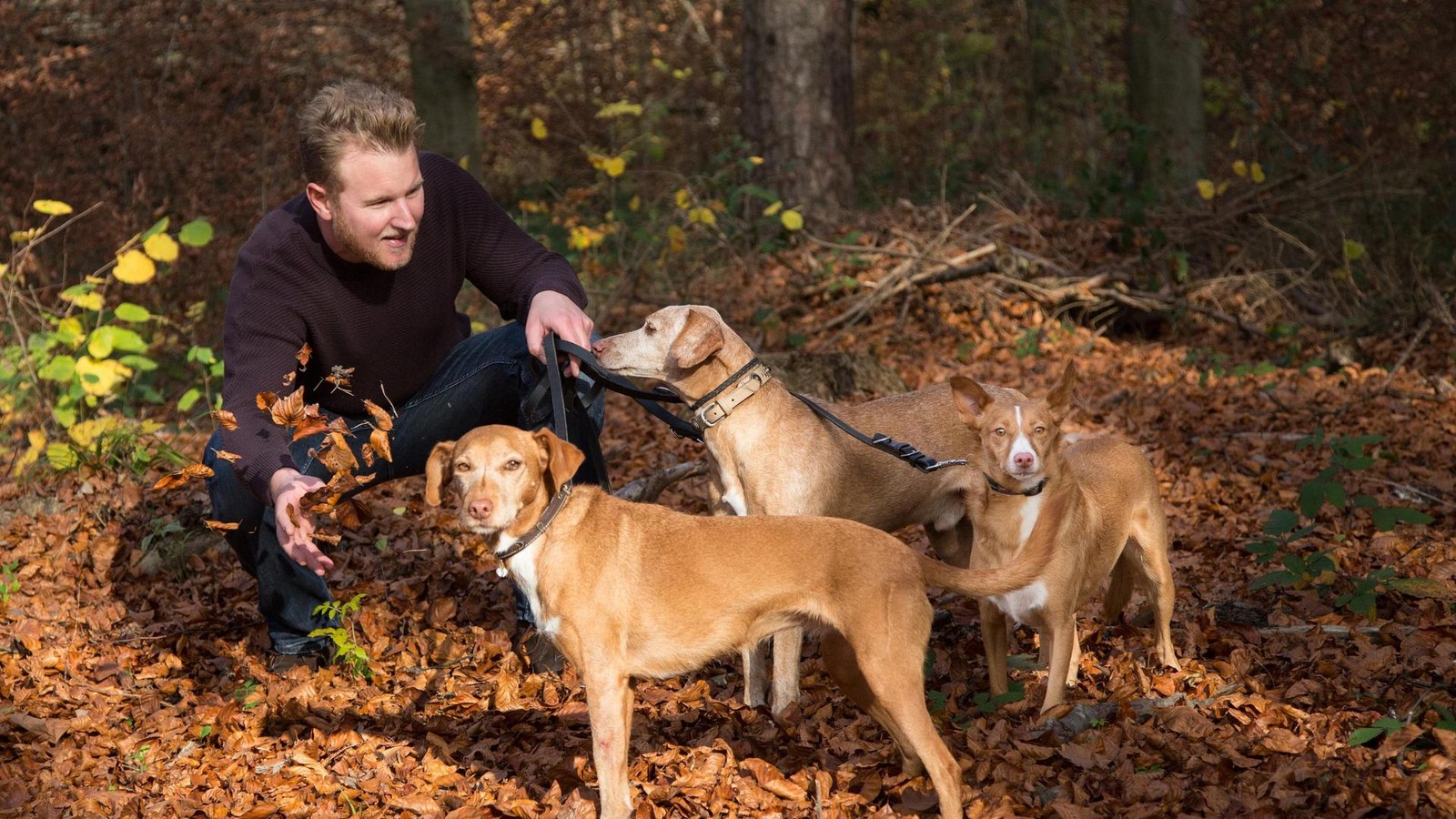 Stress-abbauen-Mediziner-verr-t-3-simple-Methoden-f-r-mehr-Resilienz
