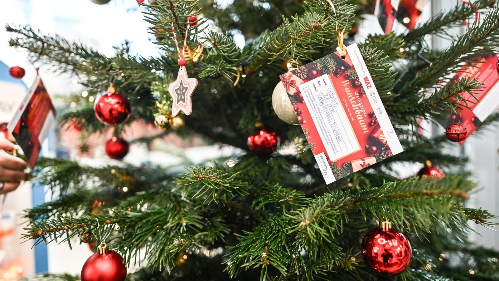 Wunschbaum-Aktion-f-r-Senioren-Die-letzten-W-nsche-sind-noch-offen