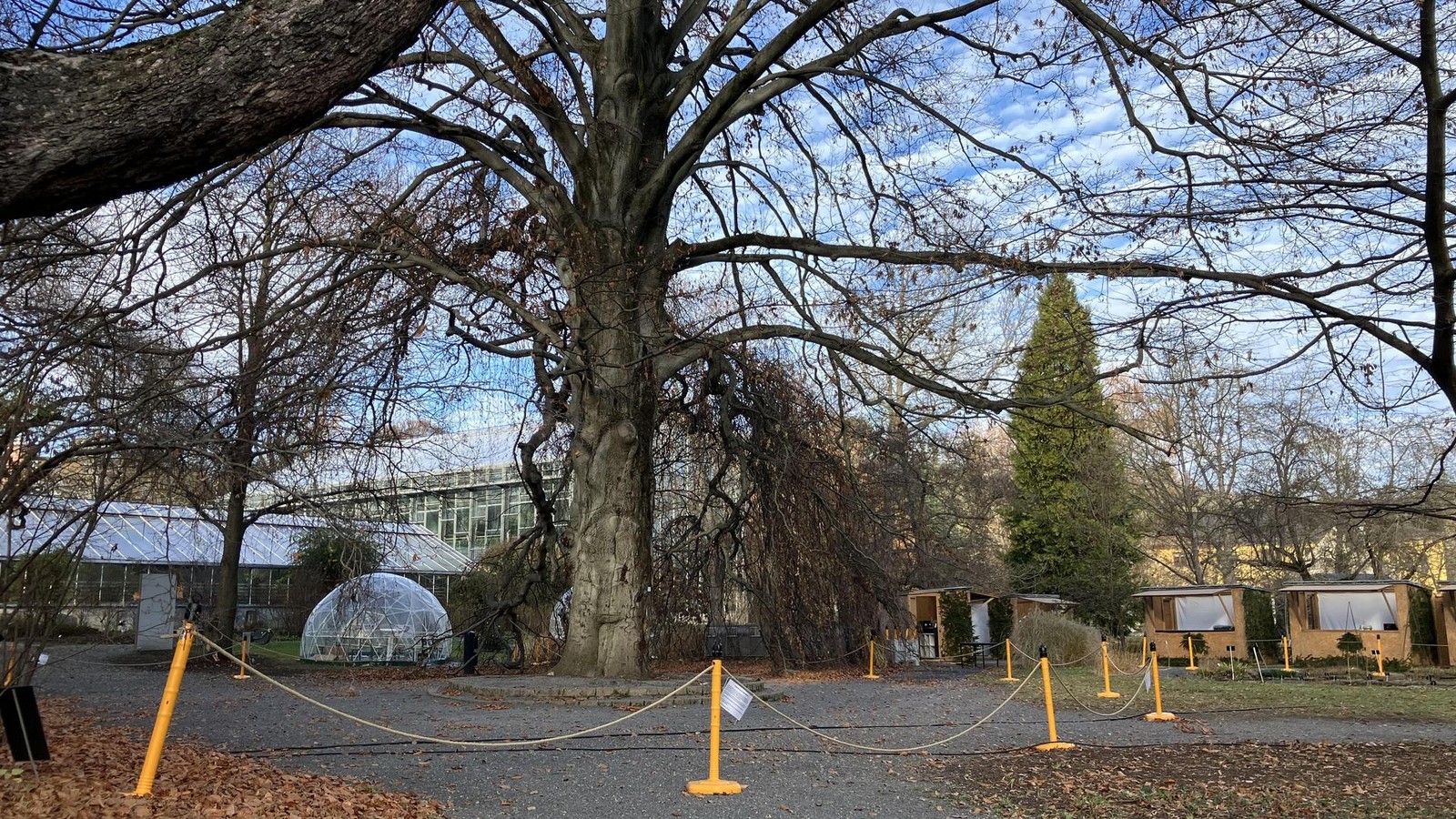 Ein-Wahrzeichen-des-Botanischen-Gartens-in-Jena-ist-in-einem-kritischen-Zustand