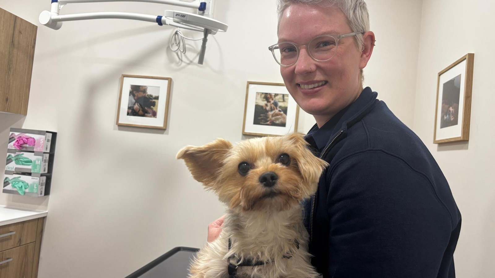 Neues-Tierarzt-Startup-in-D-sseldorf-Getrennte-Wartezimmer-f-r-Hunde-und-Katzen