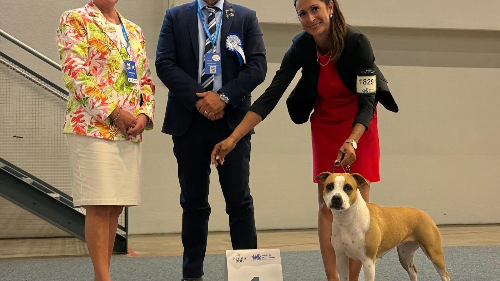 So-schnitt-ein-Listenhund-aus-dem-Weimarer-Land-auf-der-Welthundeausstellung-ab