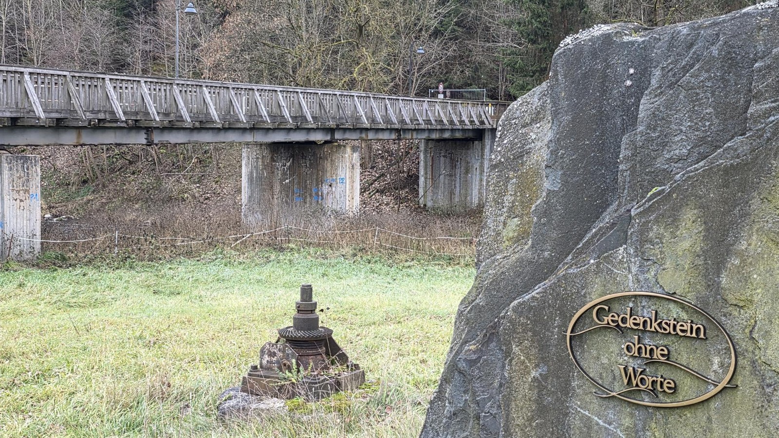 AfD-Politiker-aus-Saale-Orla-Kreis-zieht-d-mmsten-Vergleich