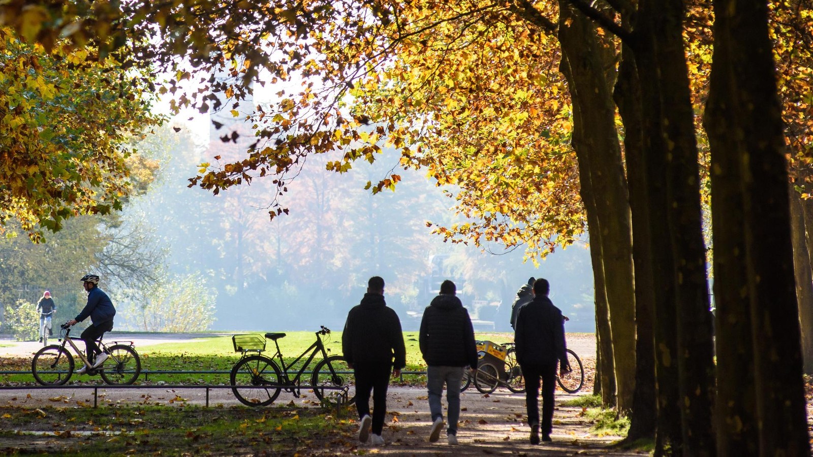 Homophobe-Attacke-im-Stadtpark-Br-der-sollen-B-ller-auf-Mann-geworfen-haben