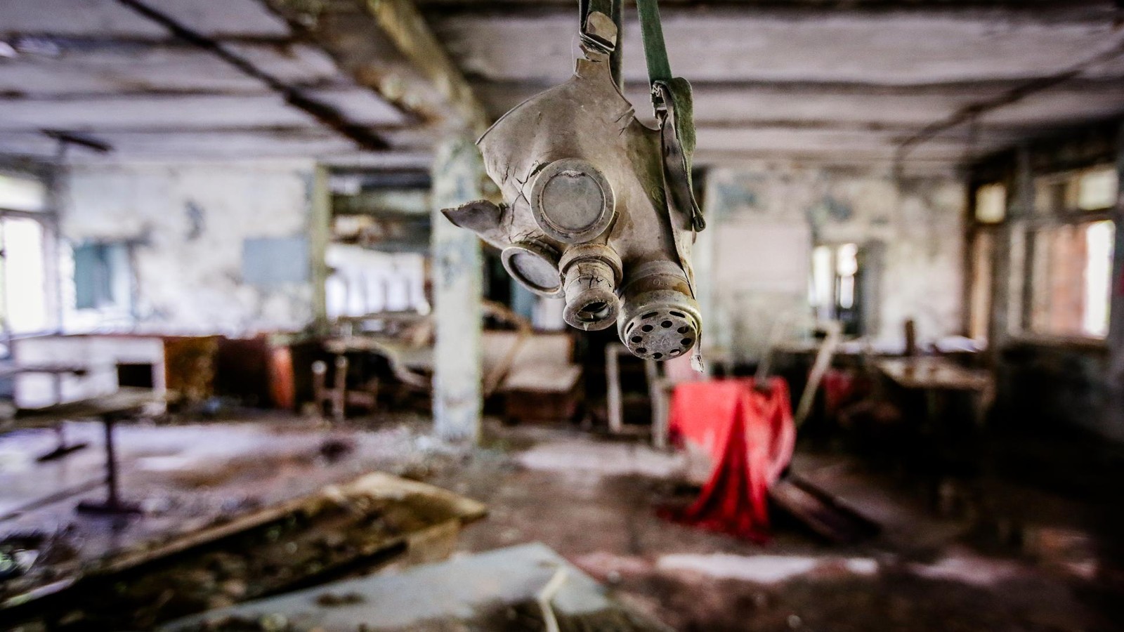 Tschernobyl-Pilz-frisst-radioaktive-Strahlung-und-k-nnte-Astronauten-sch-tzen