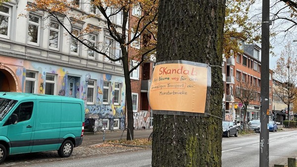 Sternbrücke: Nun fallen die letzten Bäume – Umpflanzung „nicht machbar“