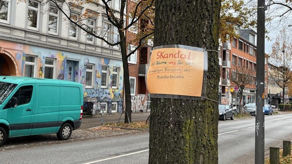 Sternbrücke: Nun fallen die letzten Bäume – Initiative ruft zu Demo auf