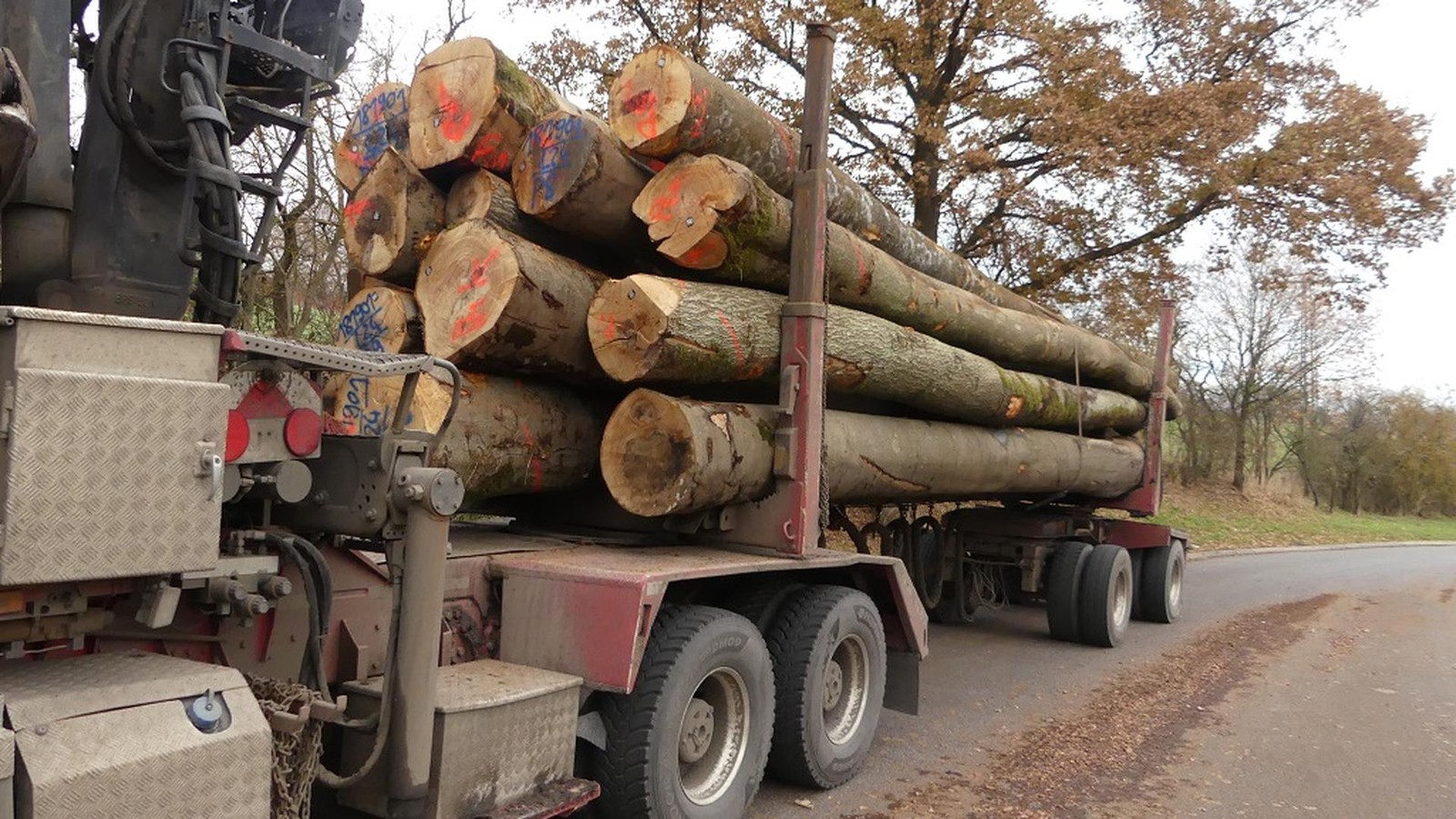 Fast-zehn-Tonnen-zu-schwer-Autobahnpolizei-zieht-berladenen-Holztransport-aus-dem-Verkehr