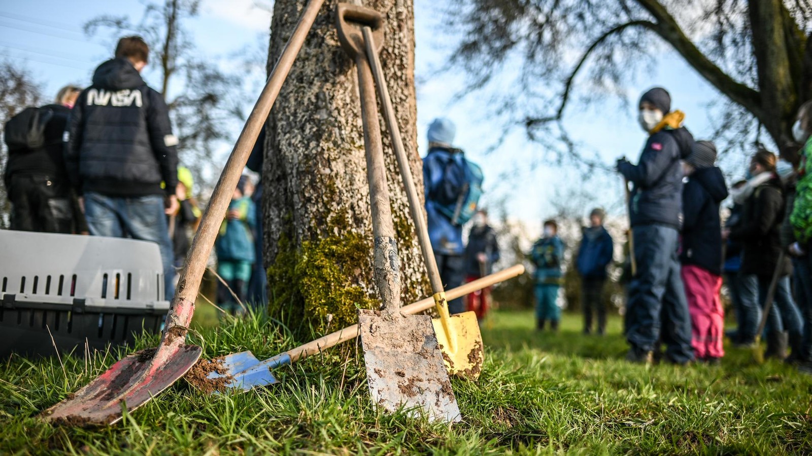 Wittener-B-rgerwald-Warum-doch-bald-mehr-B-ume-in-der-Stadt-wachsen