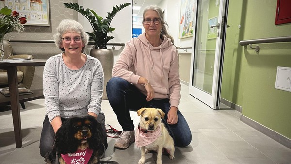 Wie die Therapiehunde Bonny und Lina Senioren in Wolfenbüttel berühren