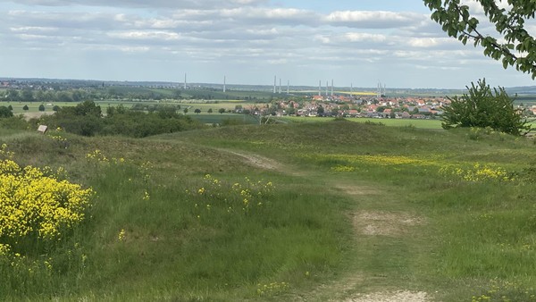 Biotopverbund in Wolfenbüttel: Was will die Politik damit erreichen?