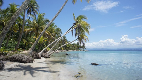 Curaçao: Das ist der kleinste WM-Teilnehmer aus der Karibik