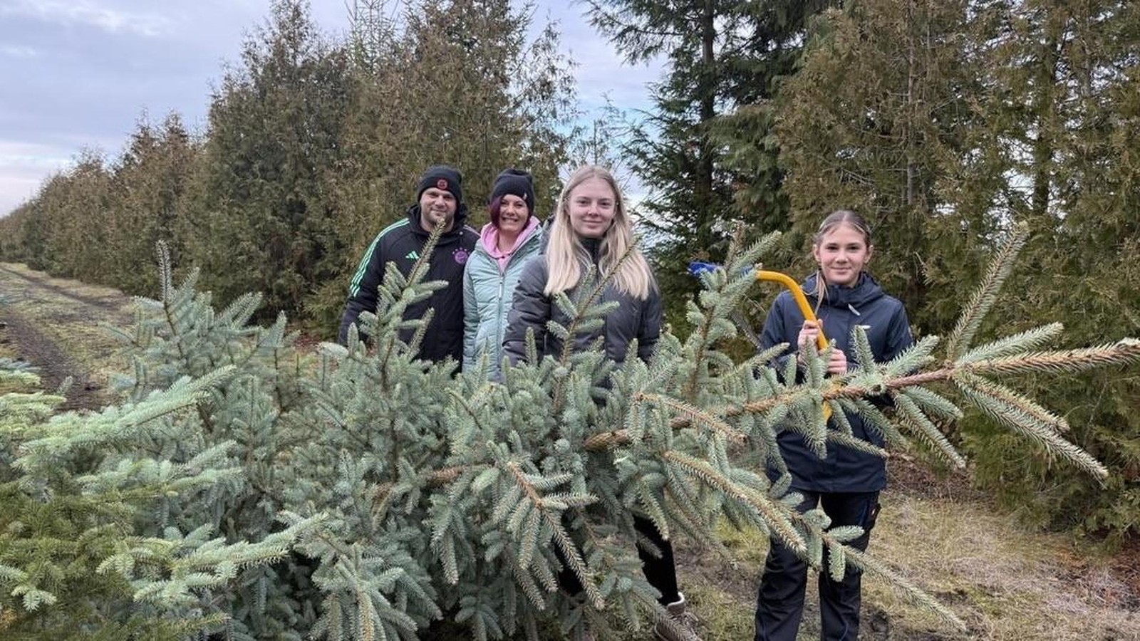 -Auf-keinen-Fall-Lametta-Familie-Hofmann-schl-gt-Baum-im-Kreis-S-mmerda-selbst